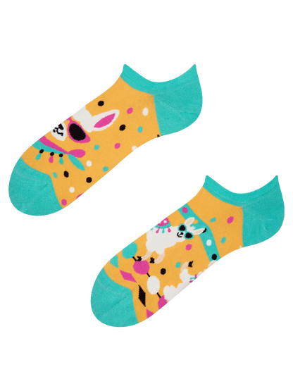 None-b5/b534f73cc05b5a050a7aa9ed7f1cfb80eb2712f1