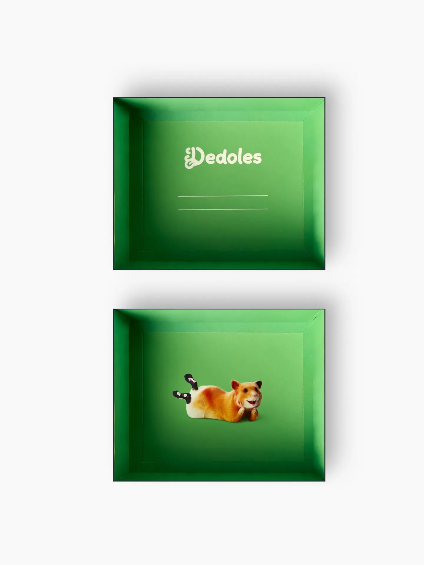None-e1/e11560647b6c46cb8dc4047f0563cbb8ae725e09