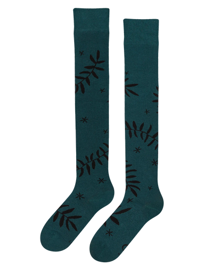 None-e5/e5c0a218952c3e64f68174fad0b6b384c4b889e7